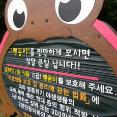 맹꽁이서식지