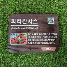 식물라벨101