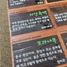 식물라벨102