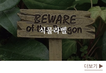 식물라벨